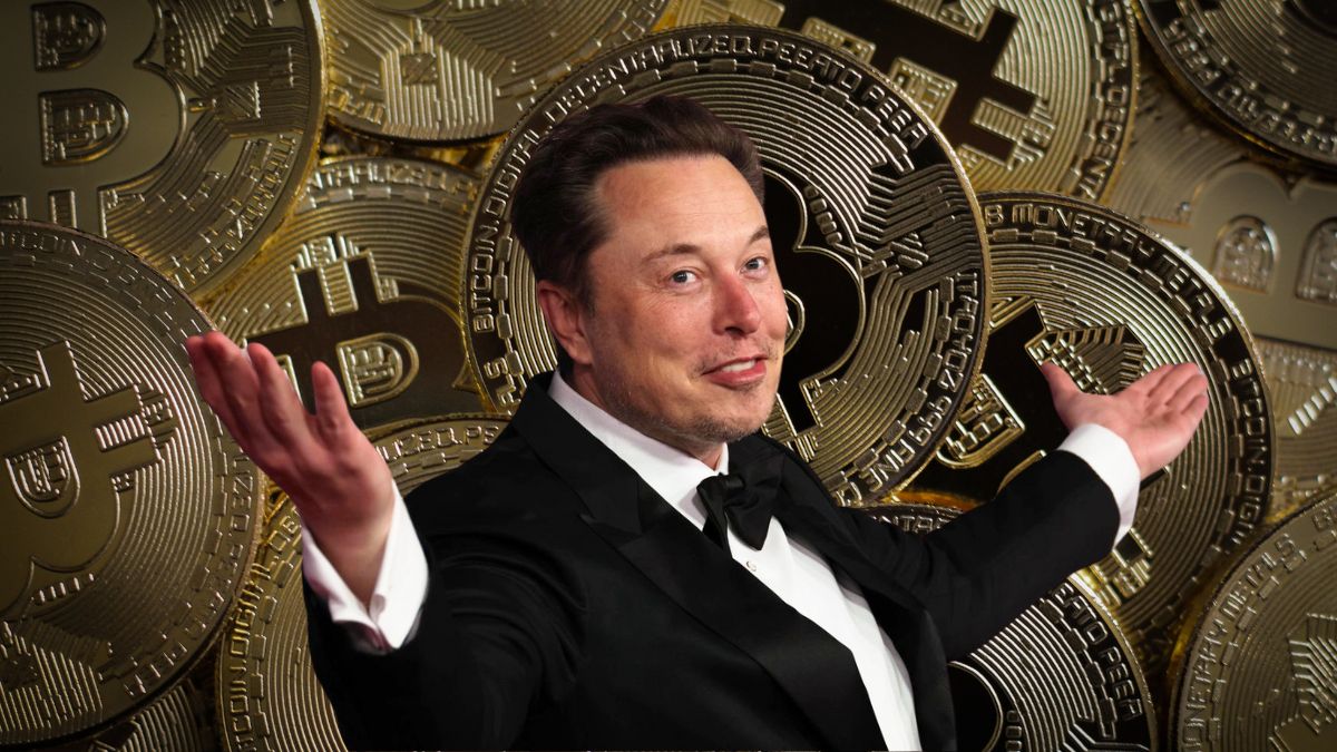 elon musk bitcoin