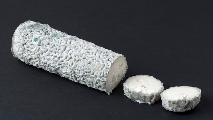 buche cendrée