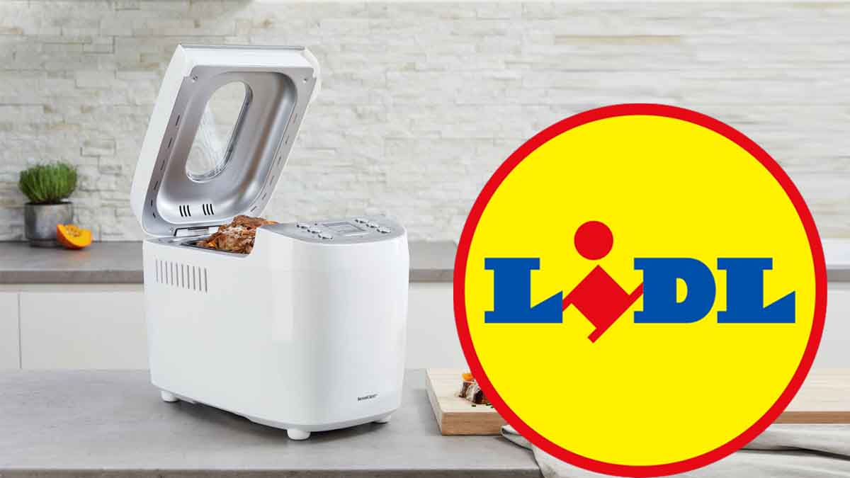cette machine a pain lidl a moins de 50 e est la solution ideale pour vos pains faits maison