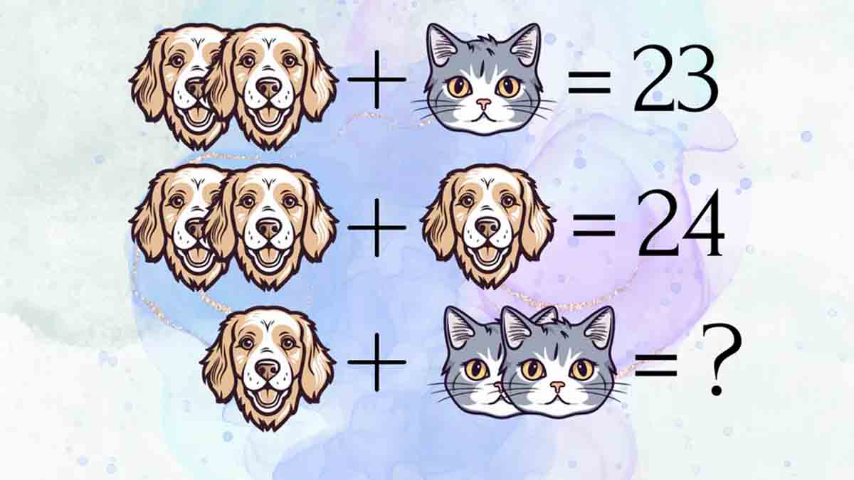chats et chiens énigme