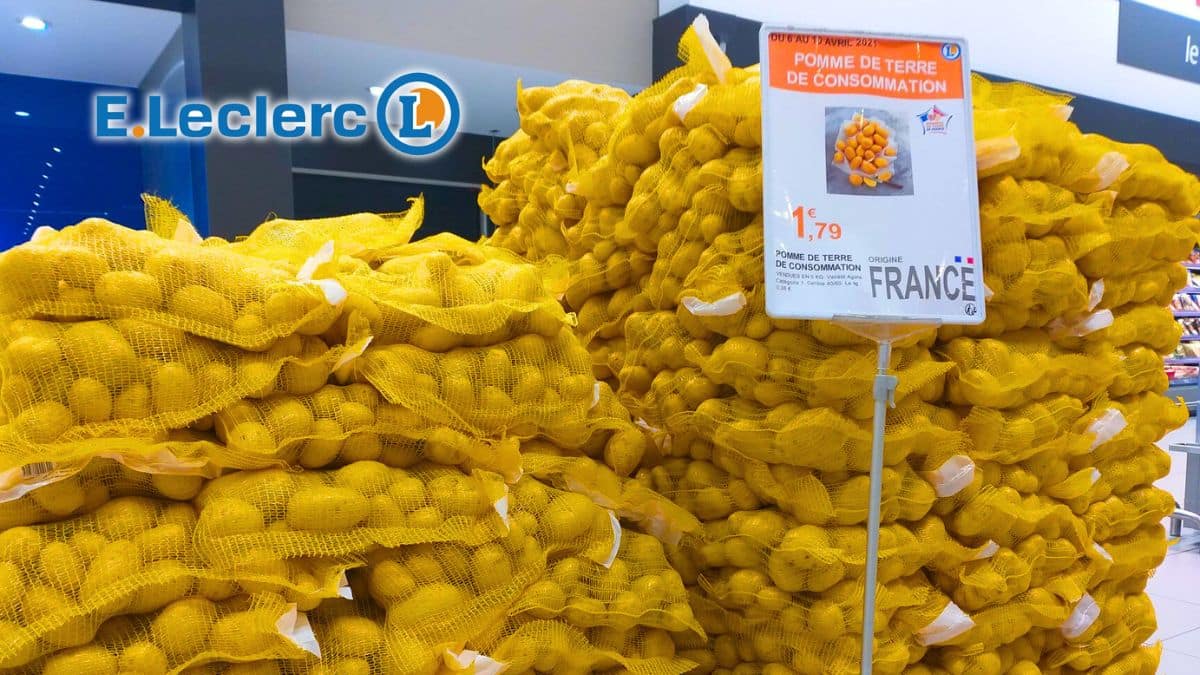 pomme de terre leclerc