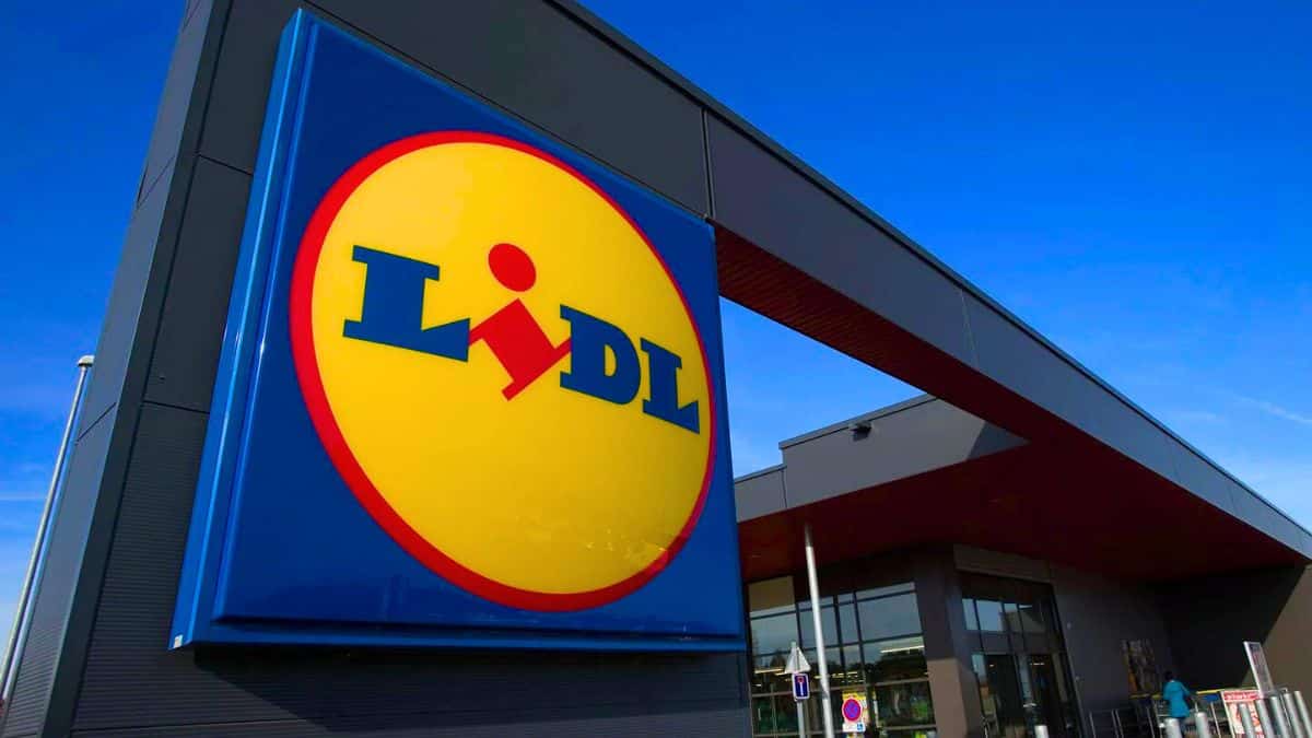 lidl ouvertures en france