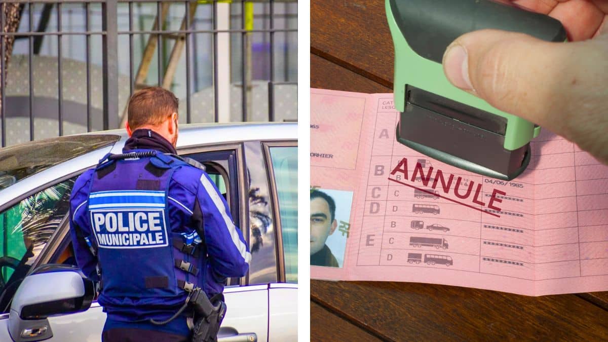 annulation du permis de conduire