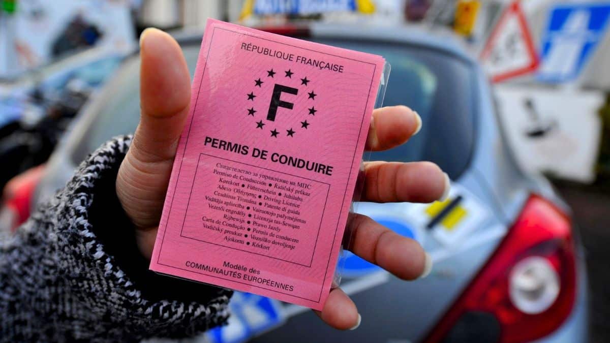 permis conduire rose