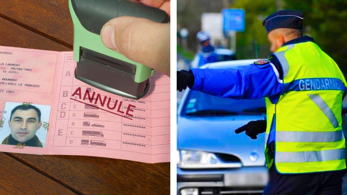 permis suspendu et amende