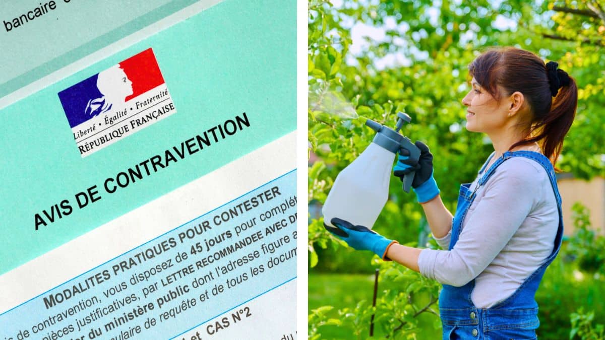 pesticide dans le jardin