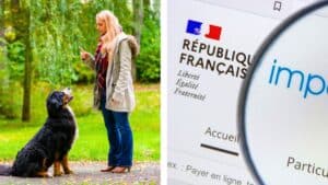 taxe animaux de compagnie