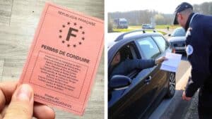 attestation de droit à la conduite