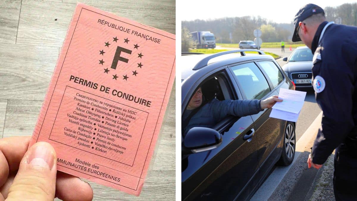 attestation de droit à la conduite