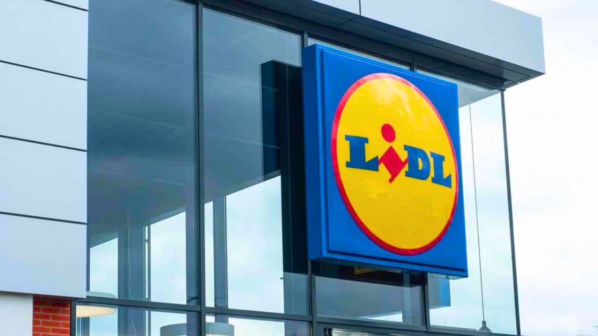 magasin lidl fermeture