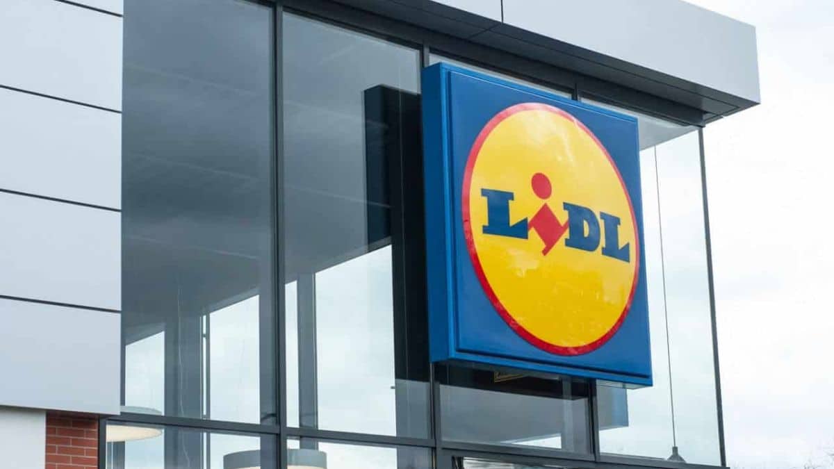 coup dur lidl ferme ses portes “jusqu’à nouvel ordre”, des milliers de clients pris de court