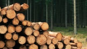 interdiction brutale du chauffage au bois voici ce que des millions de français font à la place