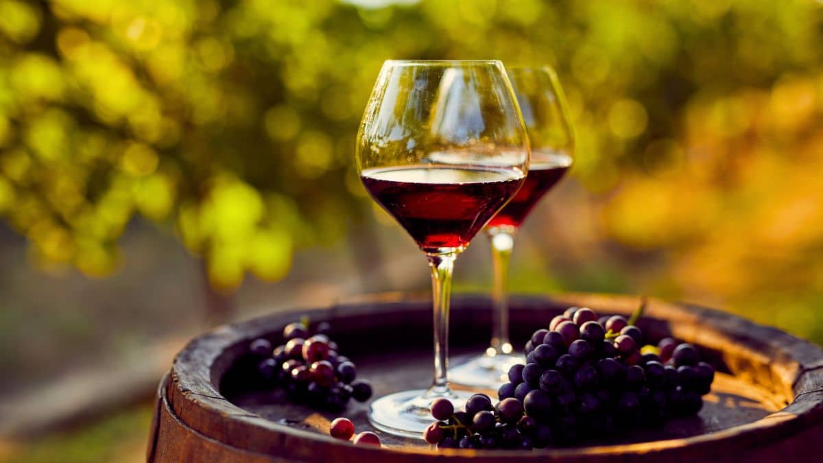 les ia génératives d'images n'arrivent toujours pas à représenter un verre de vin rempli à ras bord